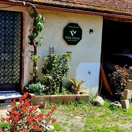 Wine House Bed & Breakfast Capannori Bagian luar foto