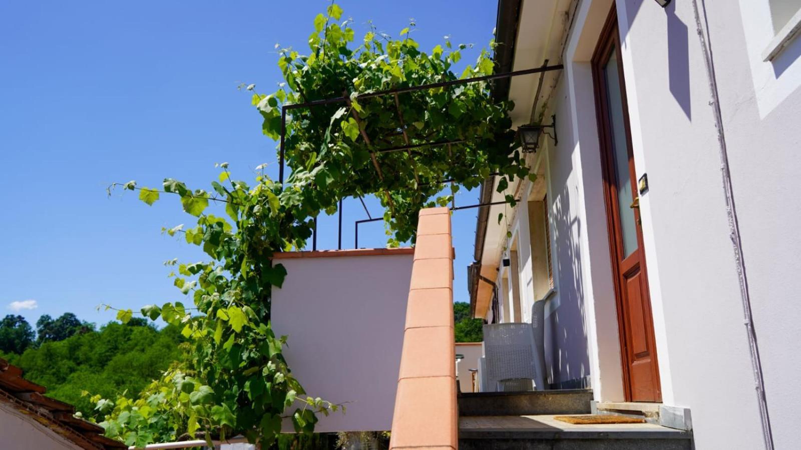 Wine House Bed & Breakfast Capannori Bagian luar foto