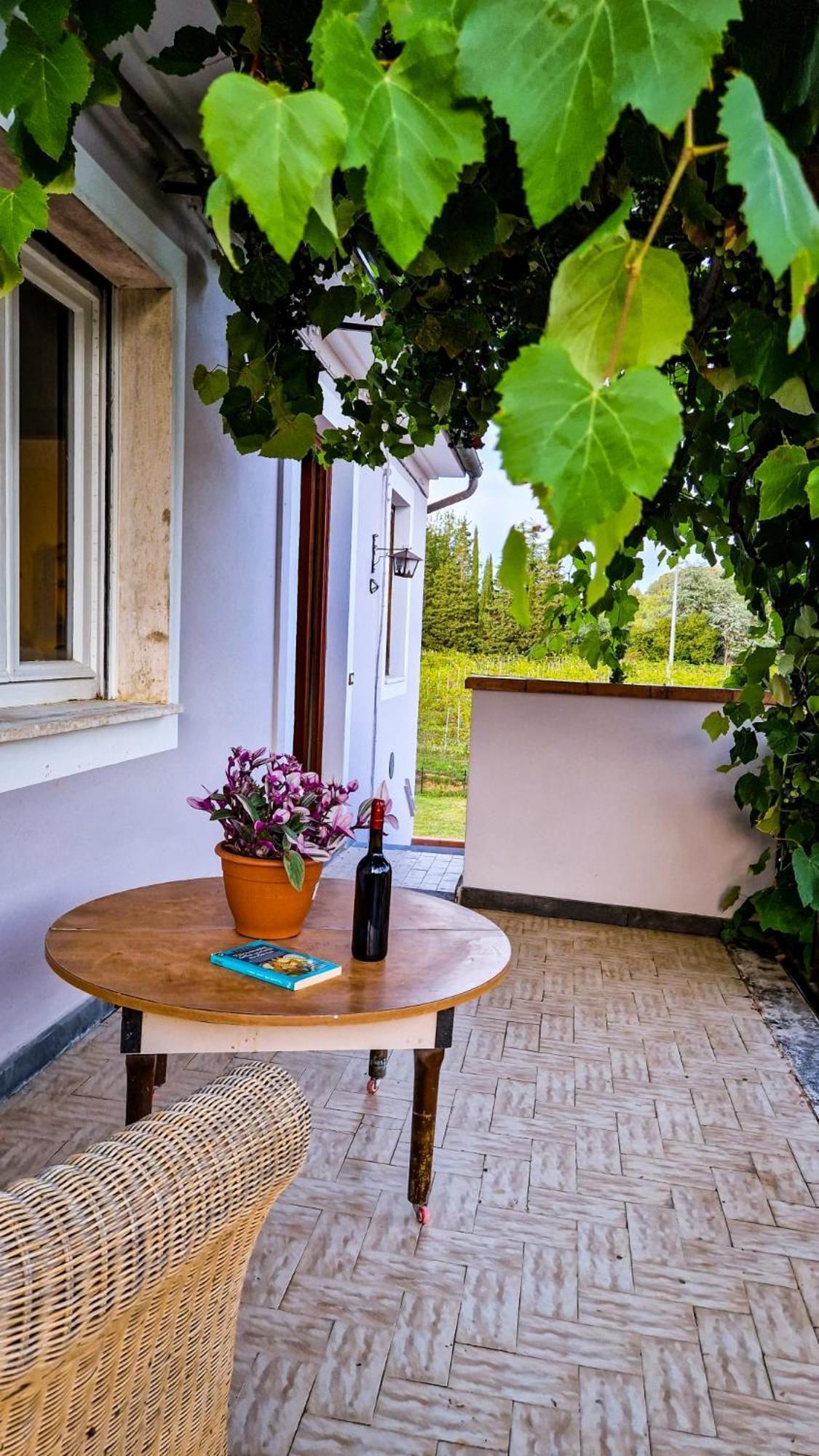 Wine House Bed & Breakfast Capannori Bagian luar foto