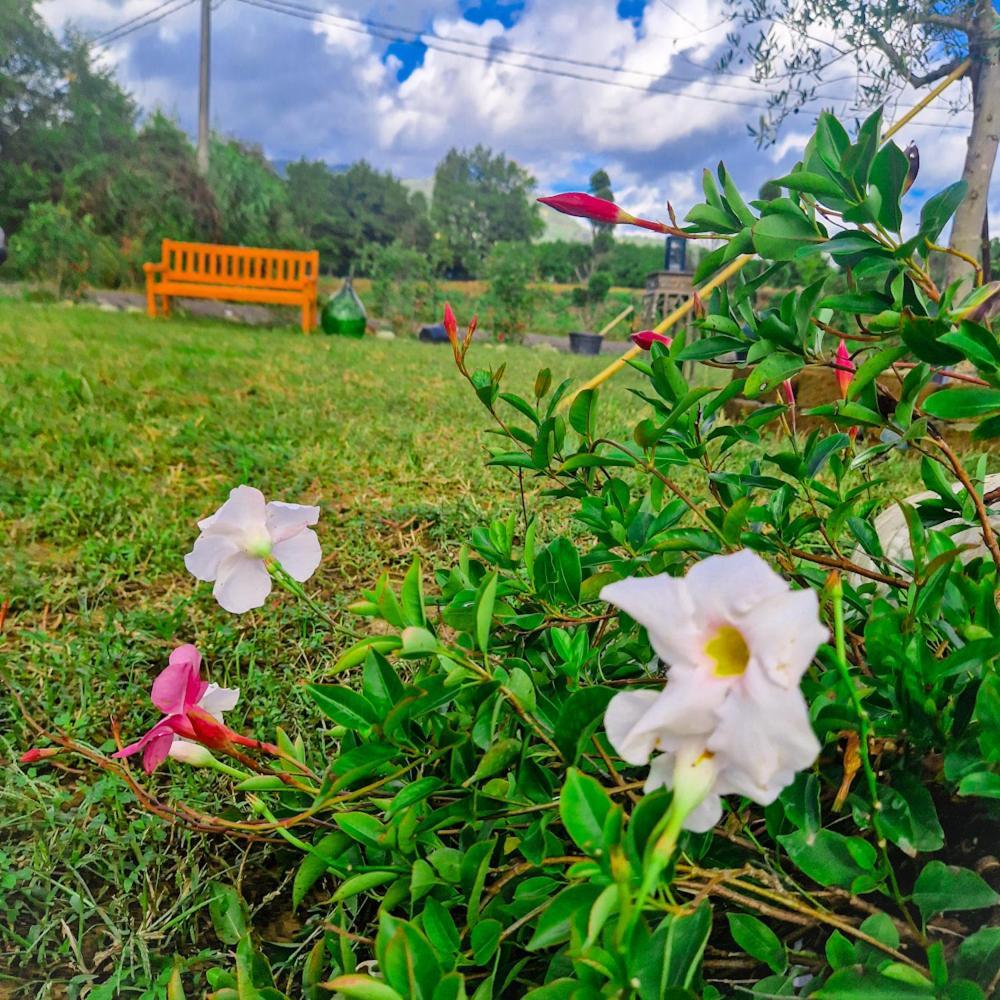 Wine House Bed & Breakfast Capannori Bagian luar foto