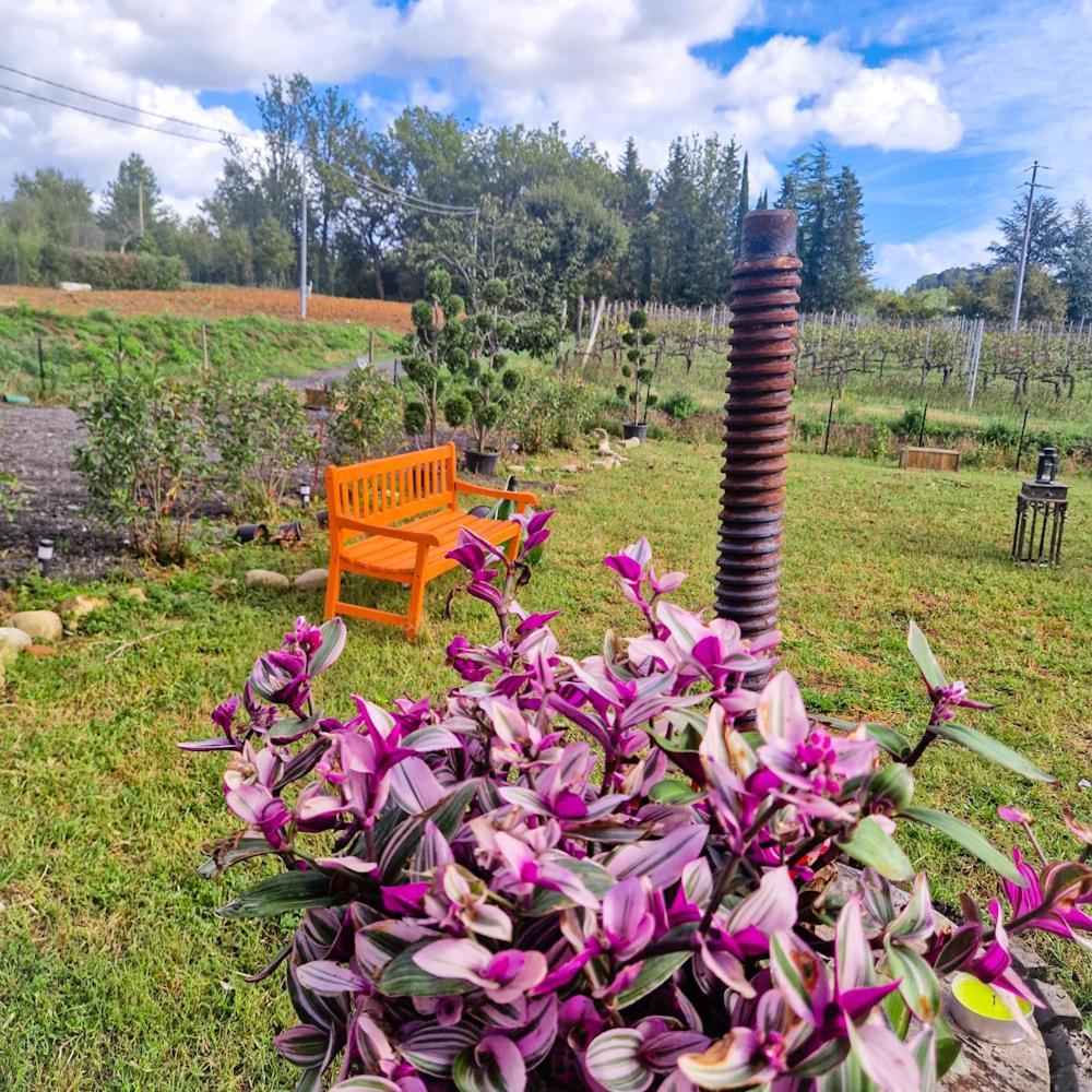 Wine House Bed & Breakfast Capannori Bagian luar foto