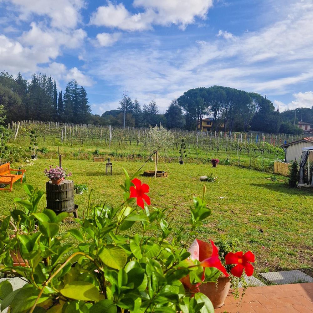 Wine House Bed & Breakfast Capannori Bagian luar foto