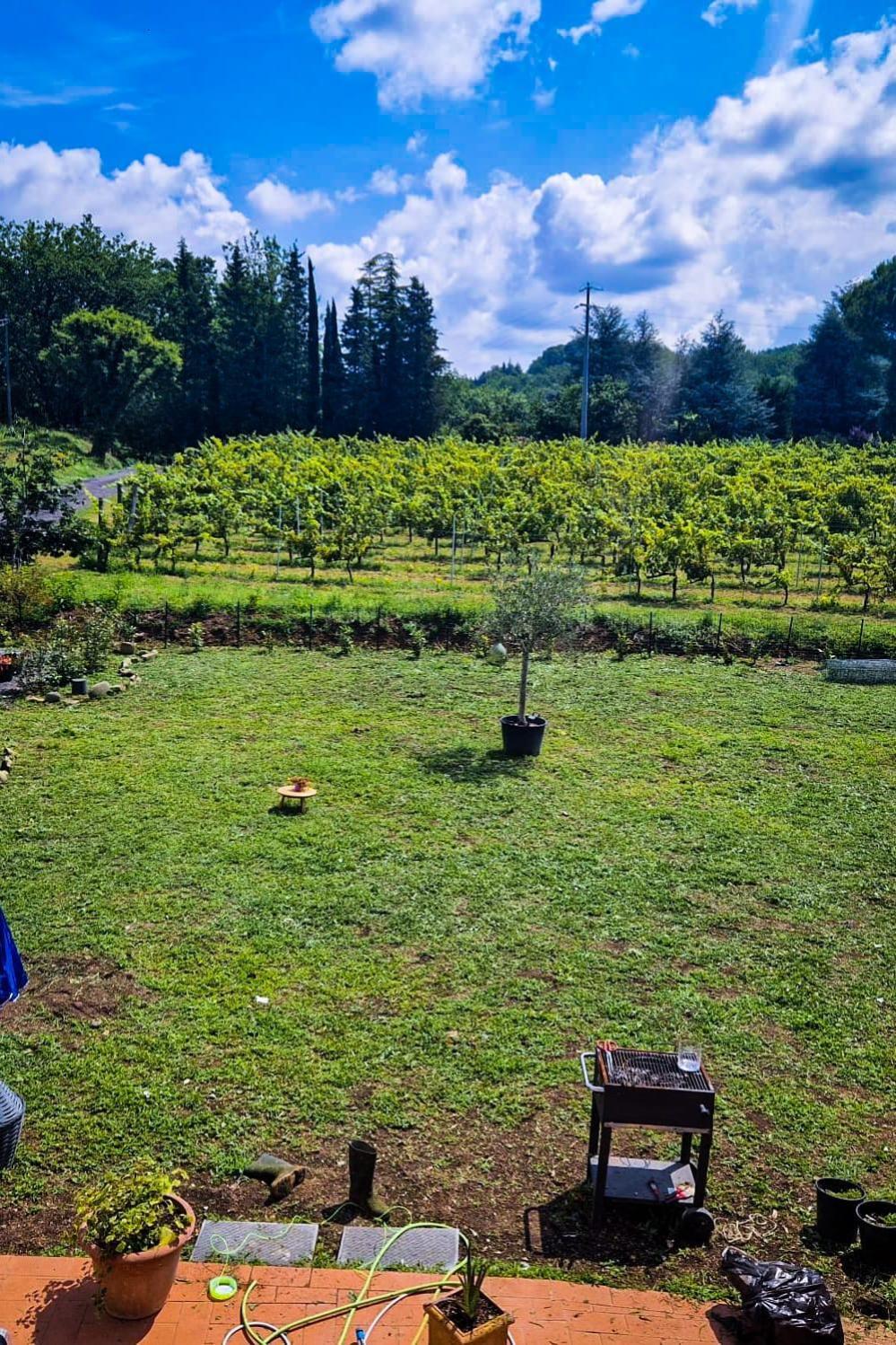 Wine House Bed & Breakfast Capannori Bagian luar foto