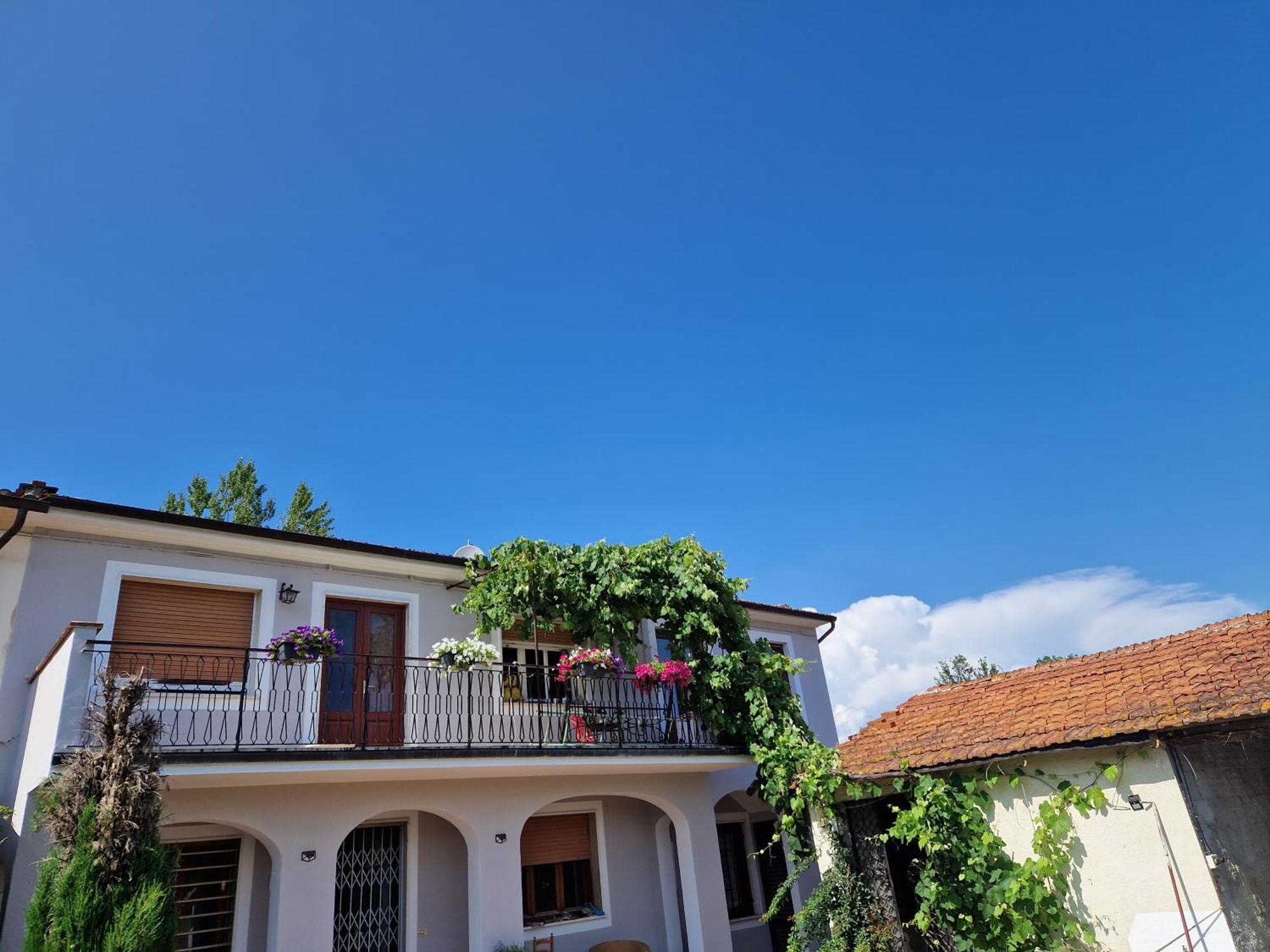 Wine House Bed & Breakfast Capannori Bagian luar foto