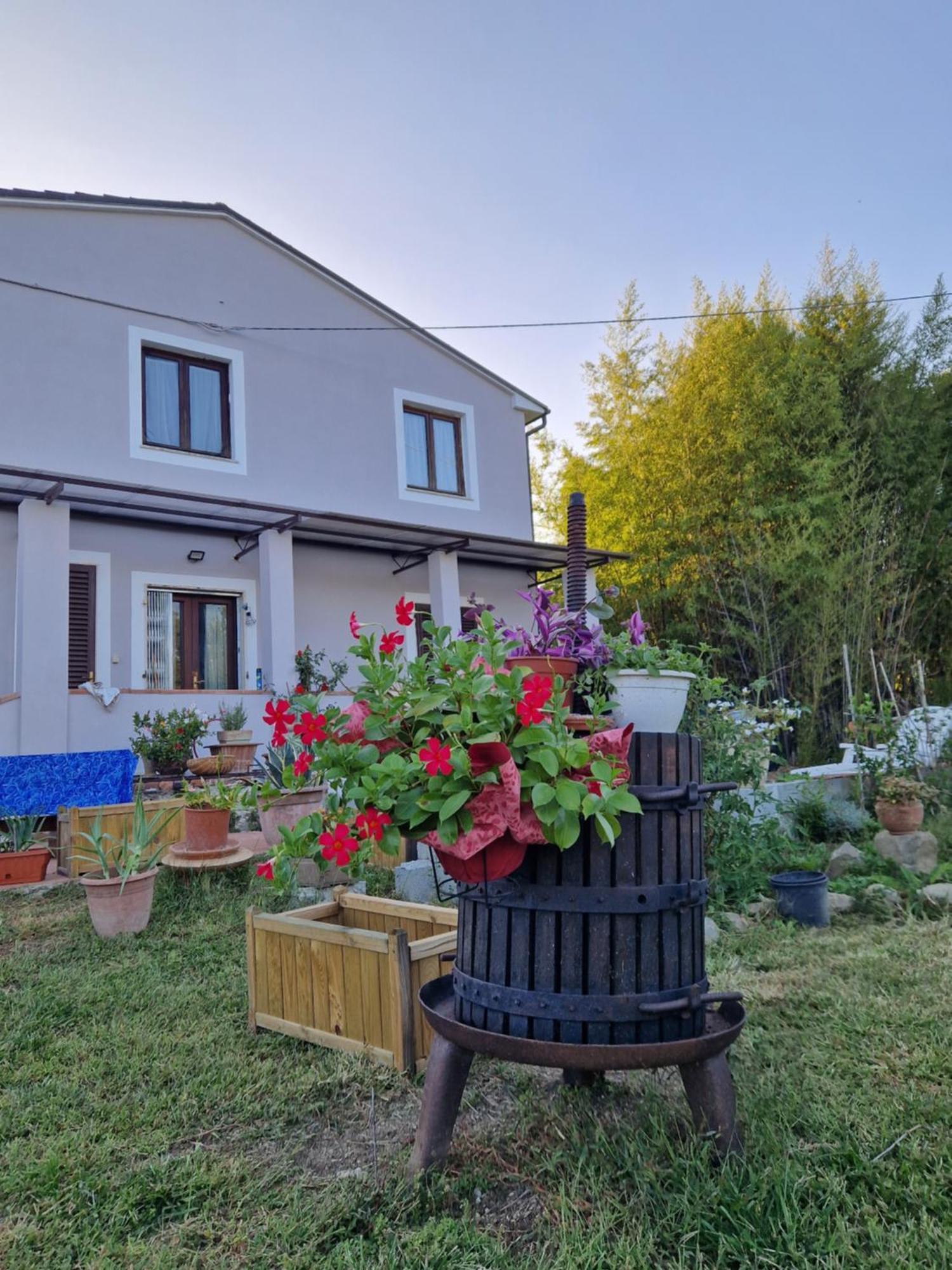 Wine House Bed & Breakfast Capannori Bagian luar foto